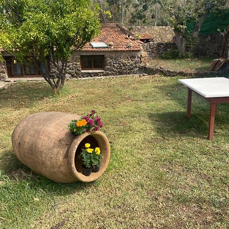Rural House To Take A Break, La Serreria 25 - Private Garden Такоронте Екстер'єр фото