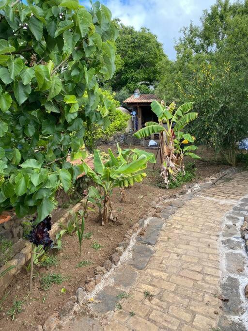 Rural House To Take A Break, La Serreria 25 - Private Garden Такоронте Екстер'єр фото