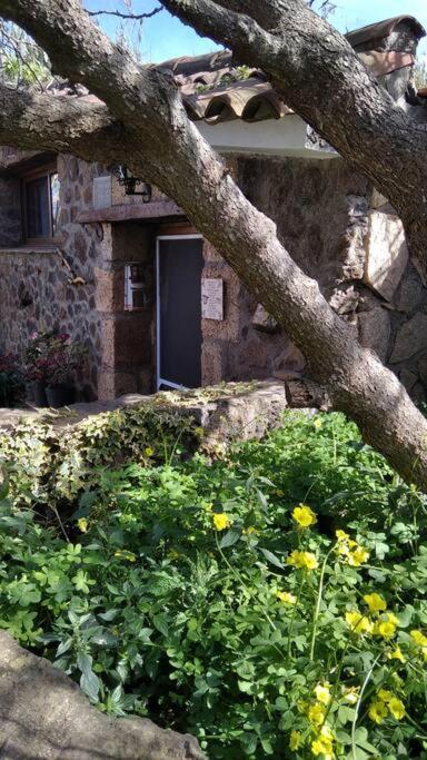 Rural House To Take A Break, La Serreria 25 - Private Garden Такоронте Екстер'єр фото