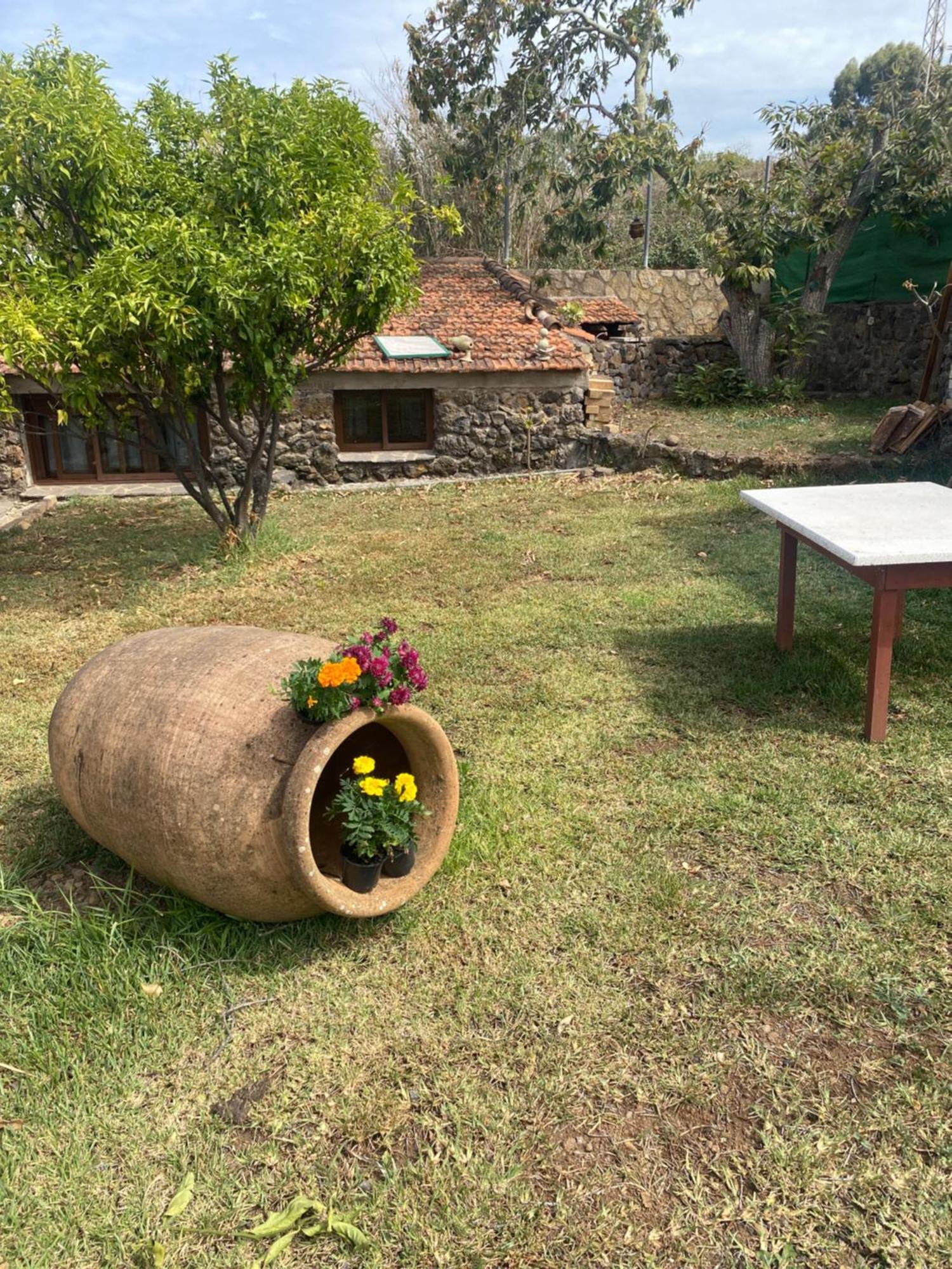 Rural House To Take A Break, La Serreria 25 - Private Garden Такоронте Екстер'єр фото
