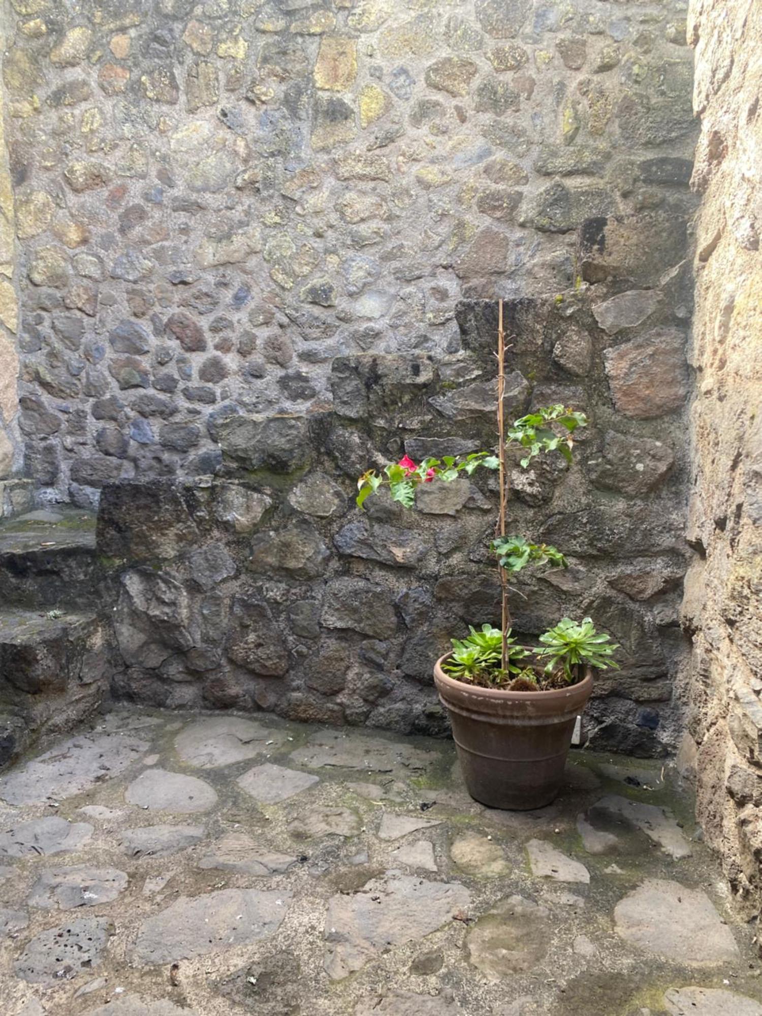 Rural House To Take A Break, La Serreria 25 - Private Garden Такоронте Екстер'єр фото
