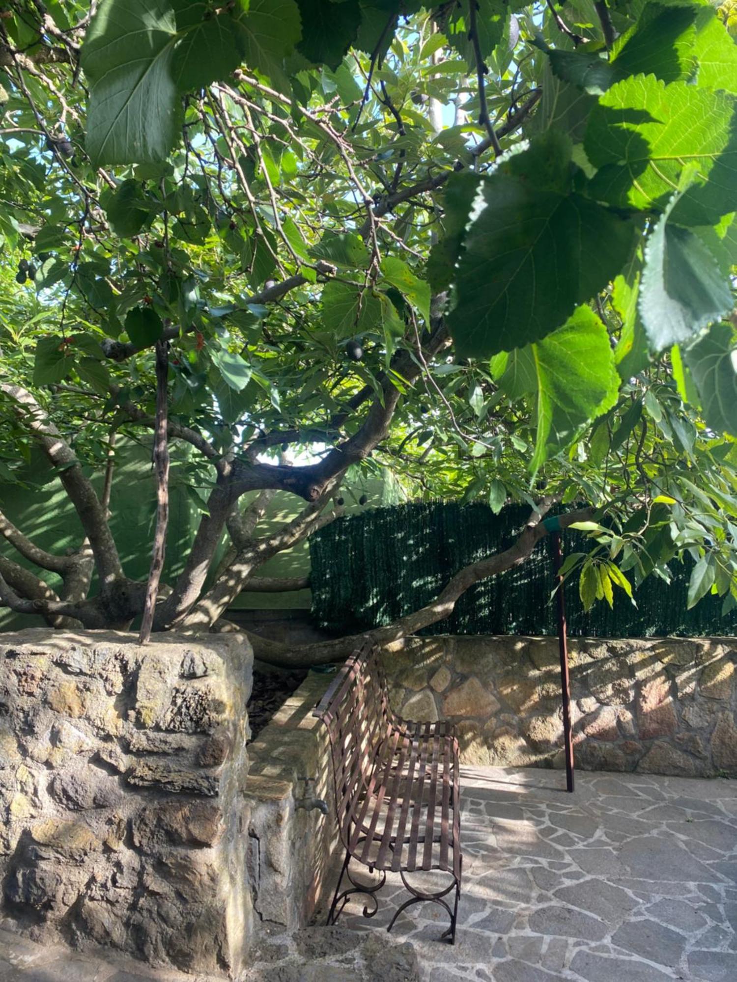 Rural House To Take A Break, La Serreria 25 - Private Garden Такоронте Екстер'єр фото